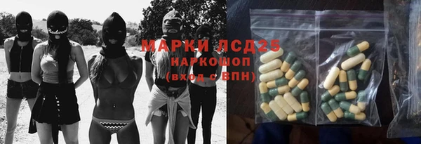 гидра Белокуриха