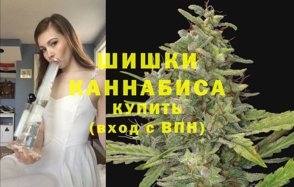 стаф Беломорск