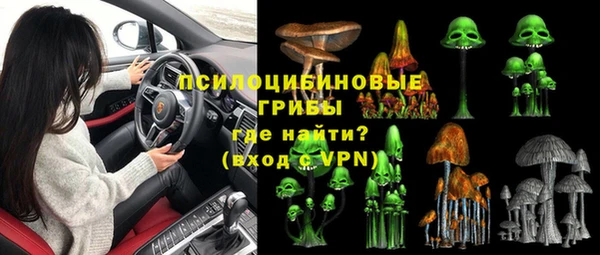 гидра Белокуриха
