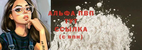 гидра Белокуриха