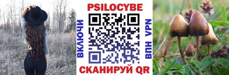 Галлюциногенные грибы GOLDEN TEACHER  Купить закладки  Донской 
